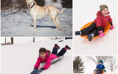 4 Tips for Better Photos in the Snow